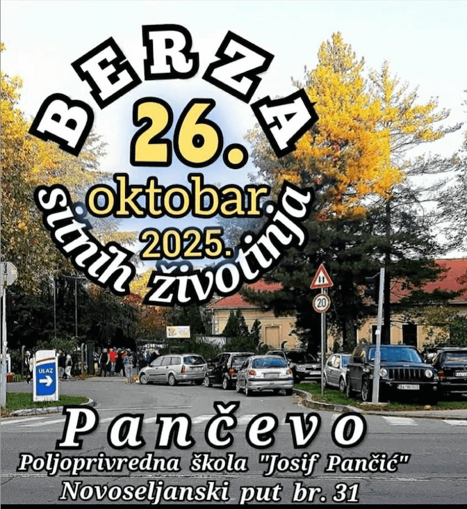 Pančevo