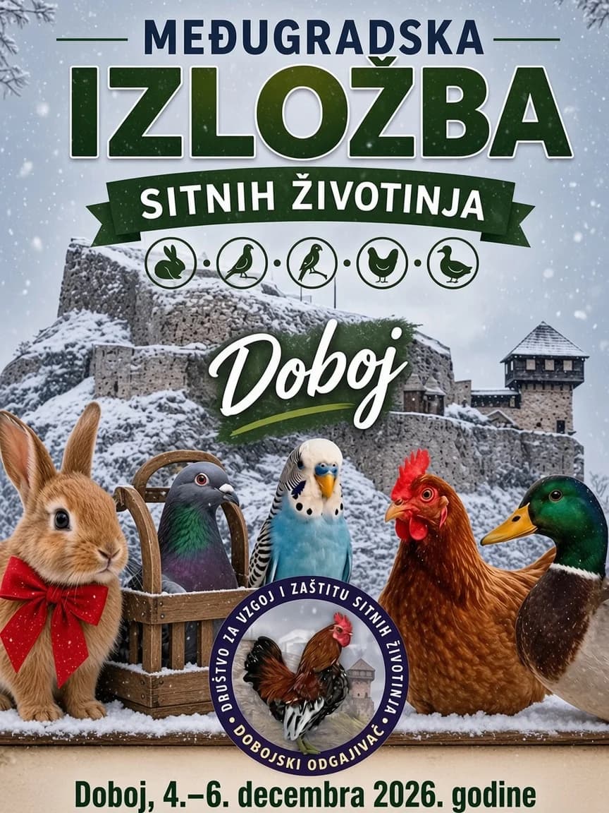 Small animal fair in Doboj – December 6, 2026 (Doboj)