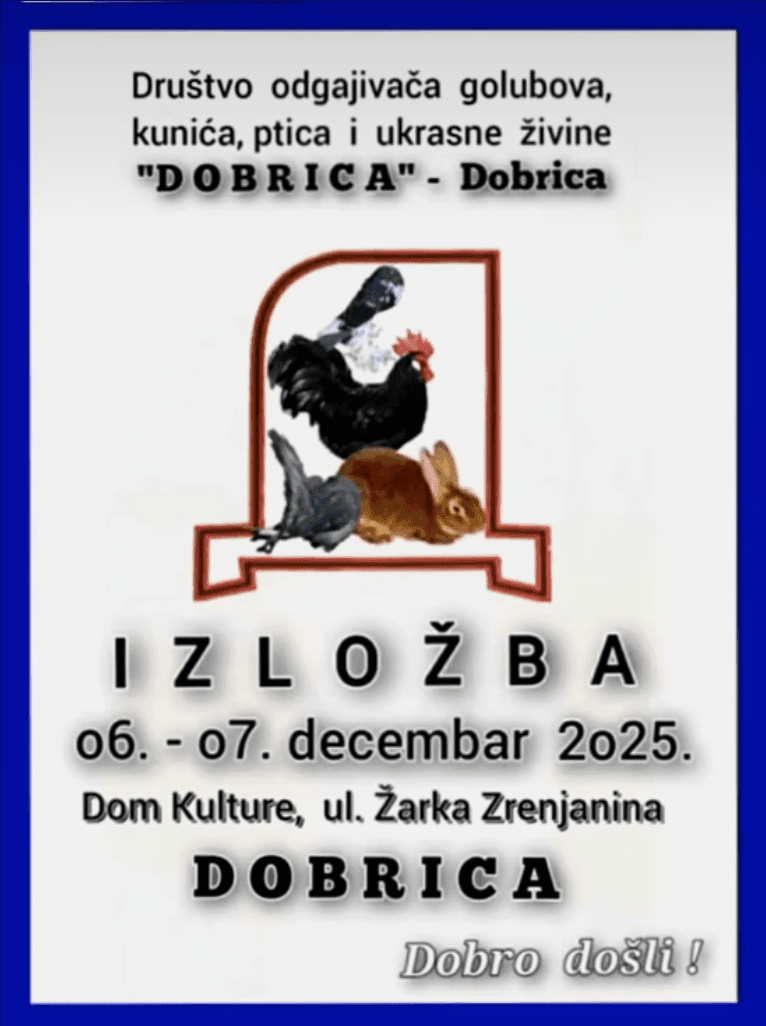 Dobrica