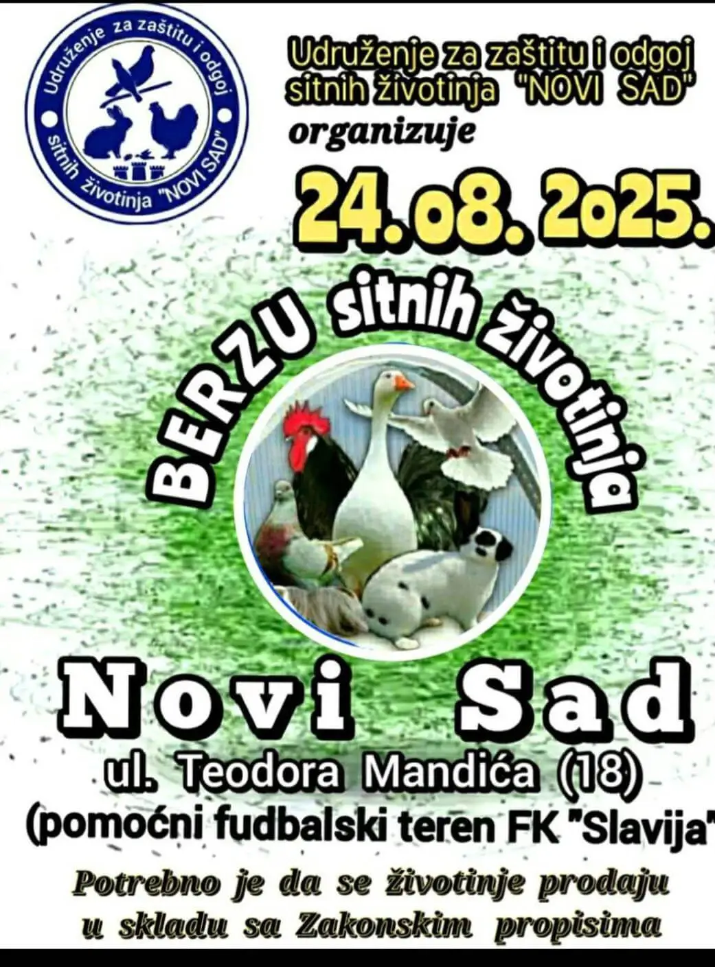 Novi Sad