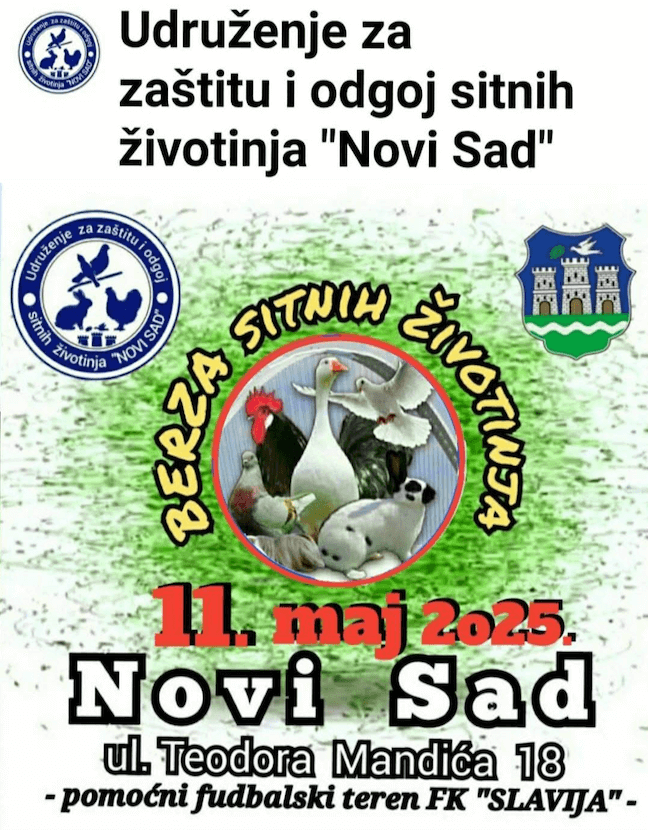 Novi Sad