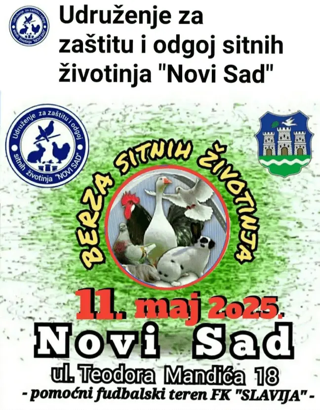 Novi Sad