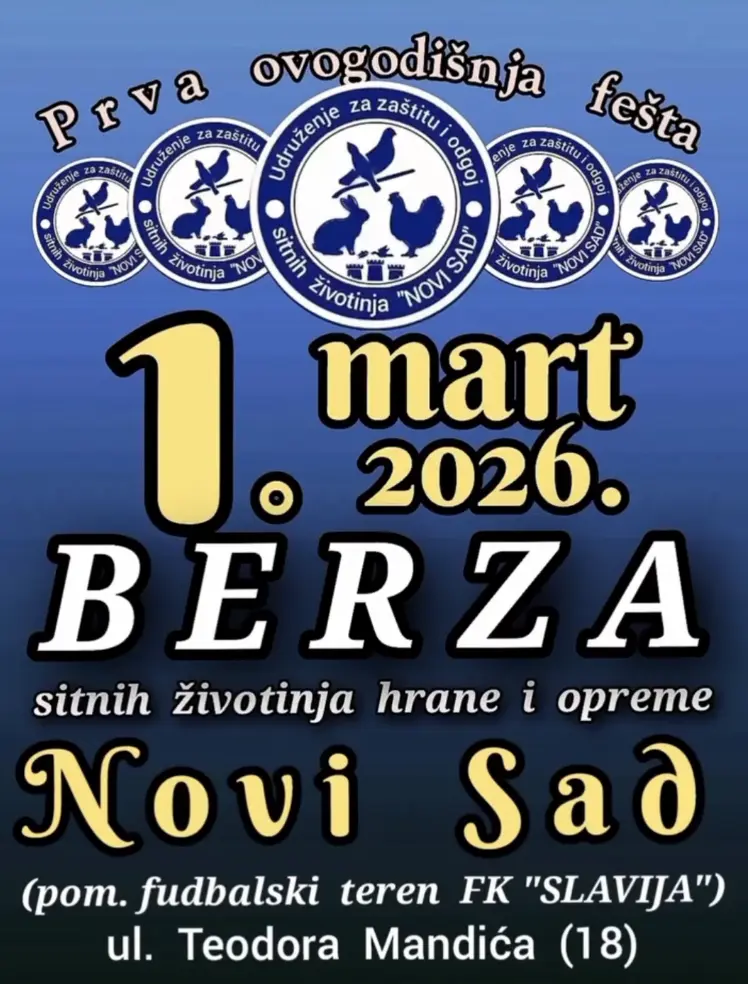 Novi Sad