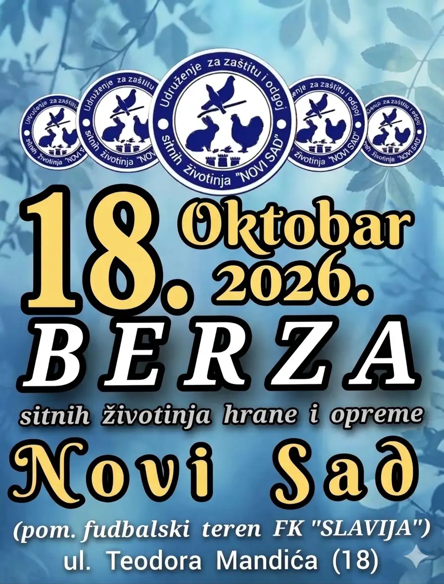Novi Sad