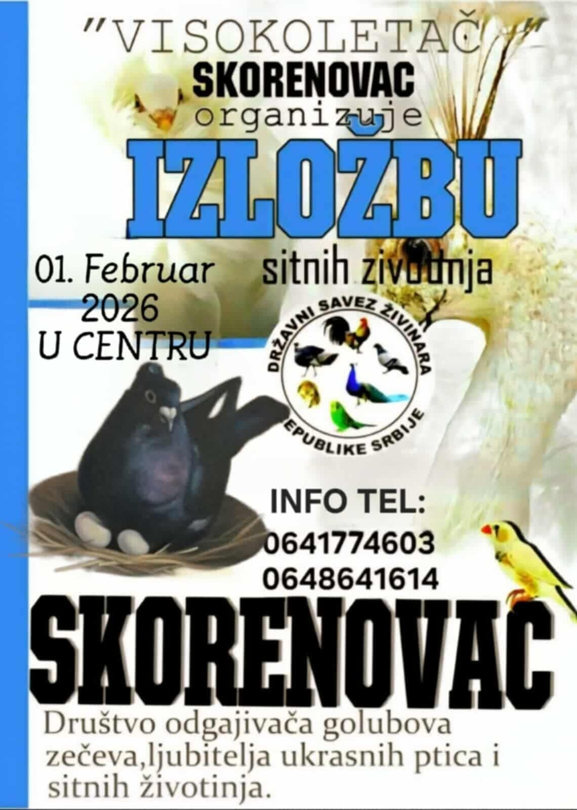 Skorenovac
