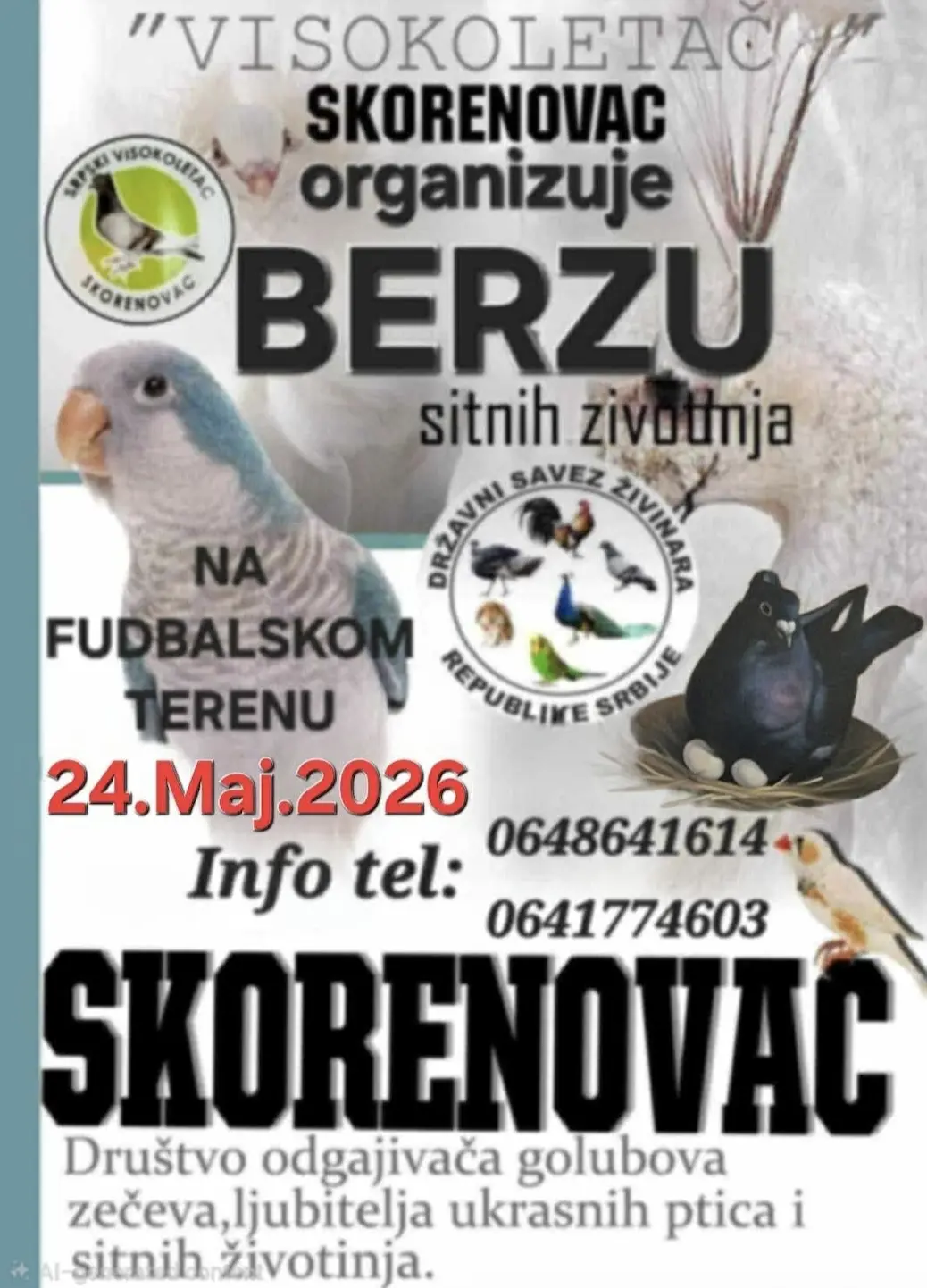 Skorenovac