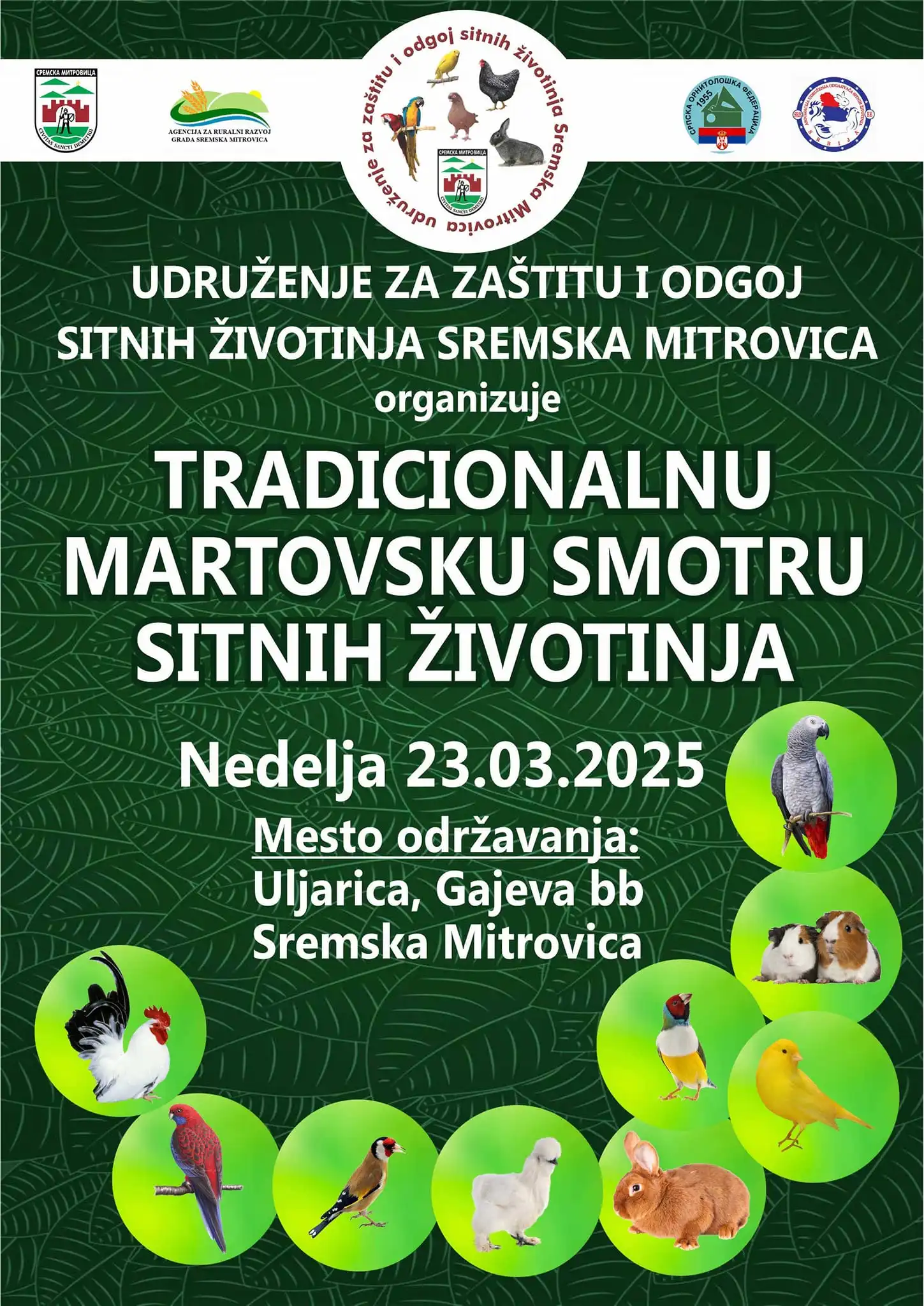 Sremska Mitrovica