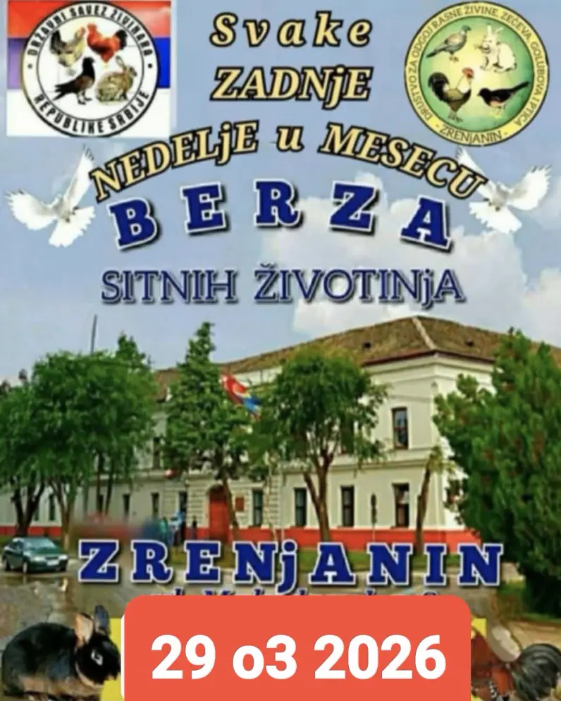 Zrenjanin