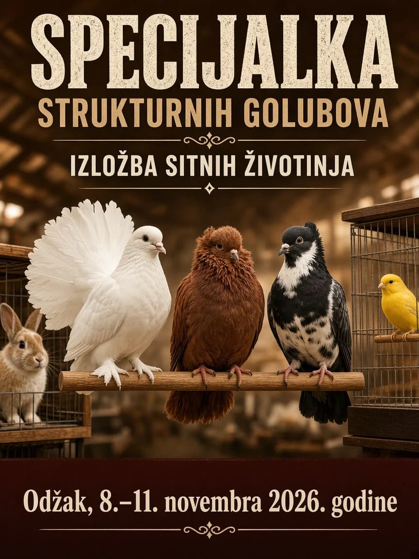 Small animal fair in Odžak – November 11, 2026 (Odžak)